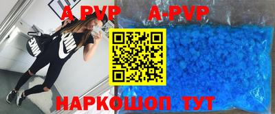 герыч Кингисепп