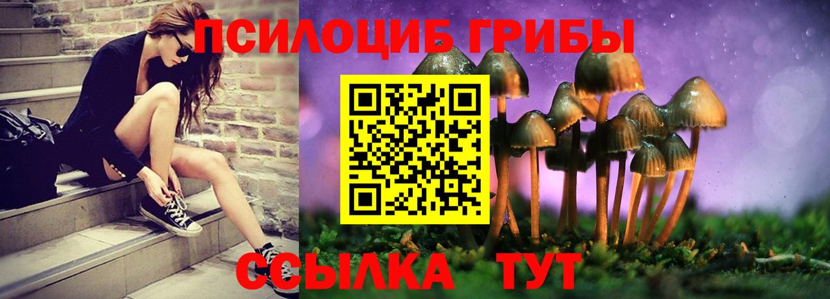 Галлюциногенные грибы мухоморы  Галлюциногенные грибы мицелий  Якутск  Вход с VPN 