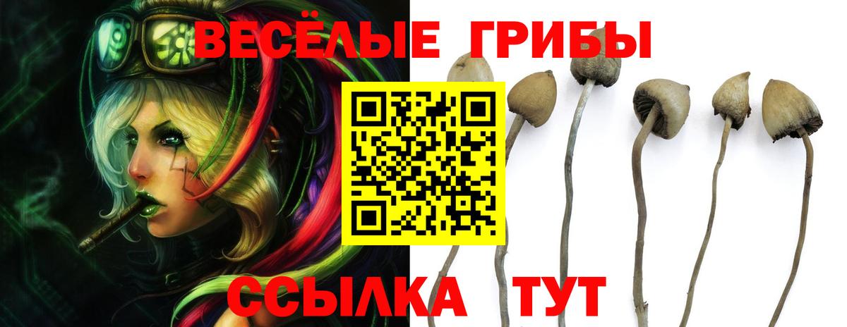 Псилоцибиновые грибы MAGIC MUSHROOMS Якутск